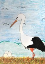 Tomčová Šarlota.jpg